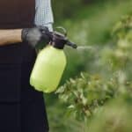 natural pesticides for vegetables