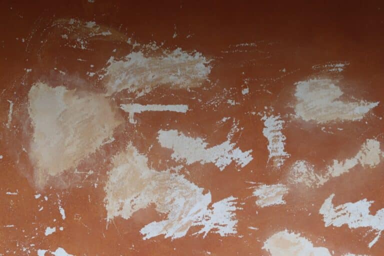 sage powdery mildew spray