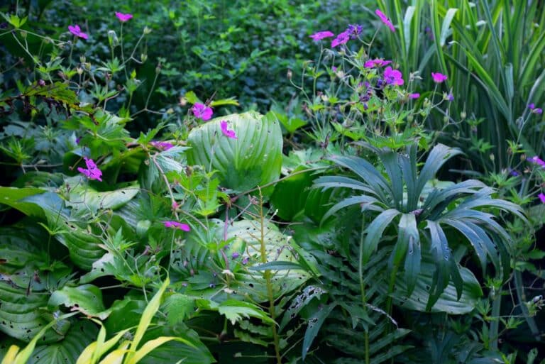garden plants that repel insects