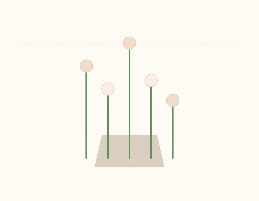 Side-view diagram of a vase with stems at five heights and proportion lines