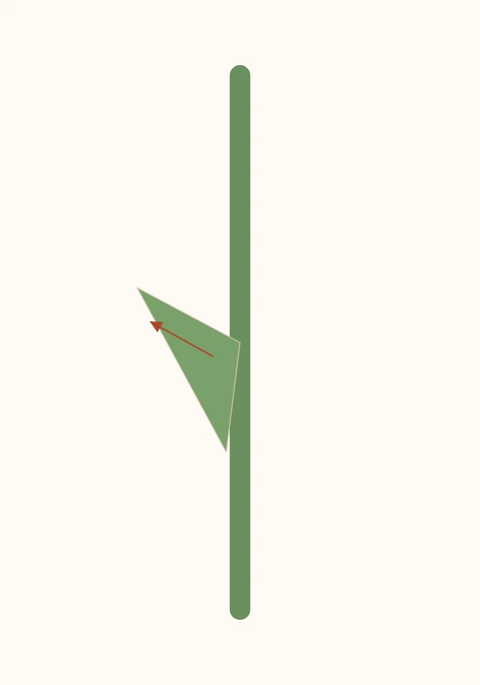 Green origami stem with a triangular flap pulled out to form a leaf